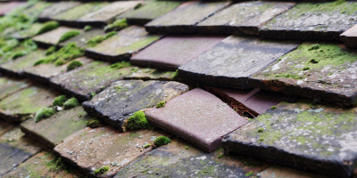 Fairstead roof repair costs